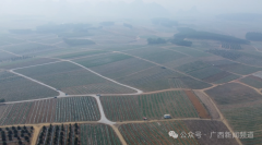 支撑科学院扶植想